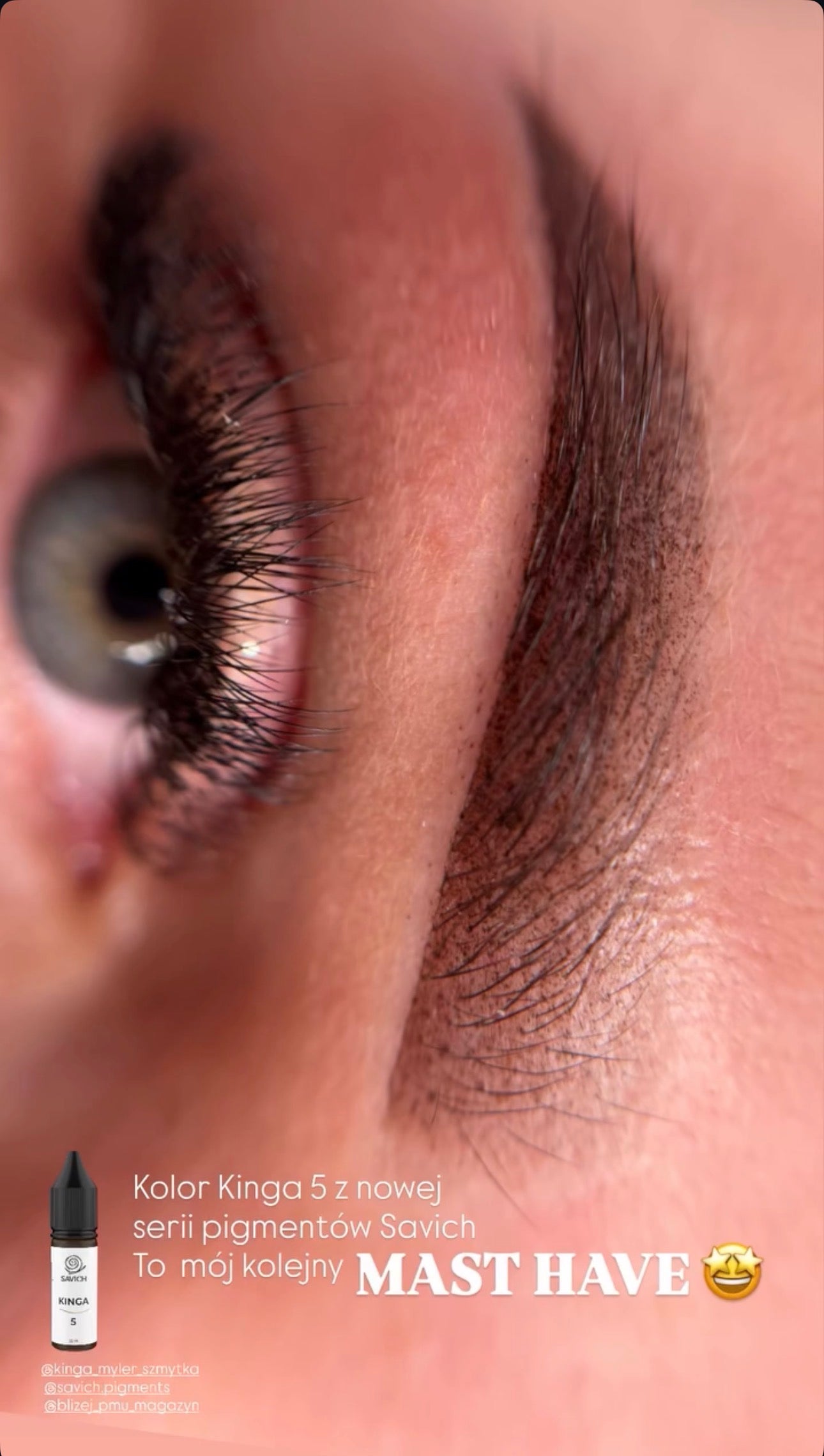 Savich pigment for permanent makeup eyebrows tattoo KINGA 5
