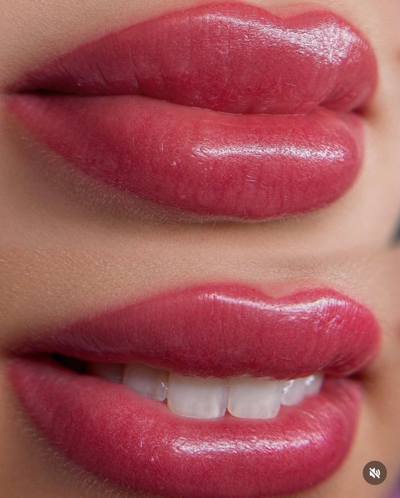lip blush tattoo savich pigments