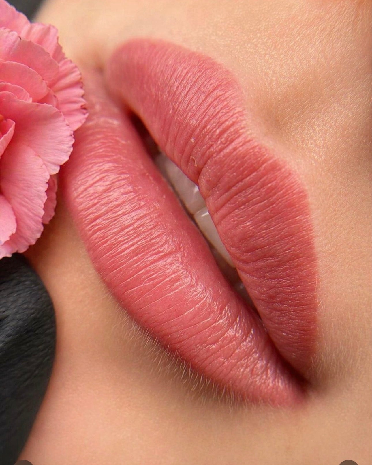 Lip blush tattoo Savich pigment Dusty Pink