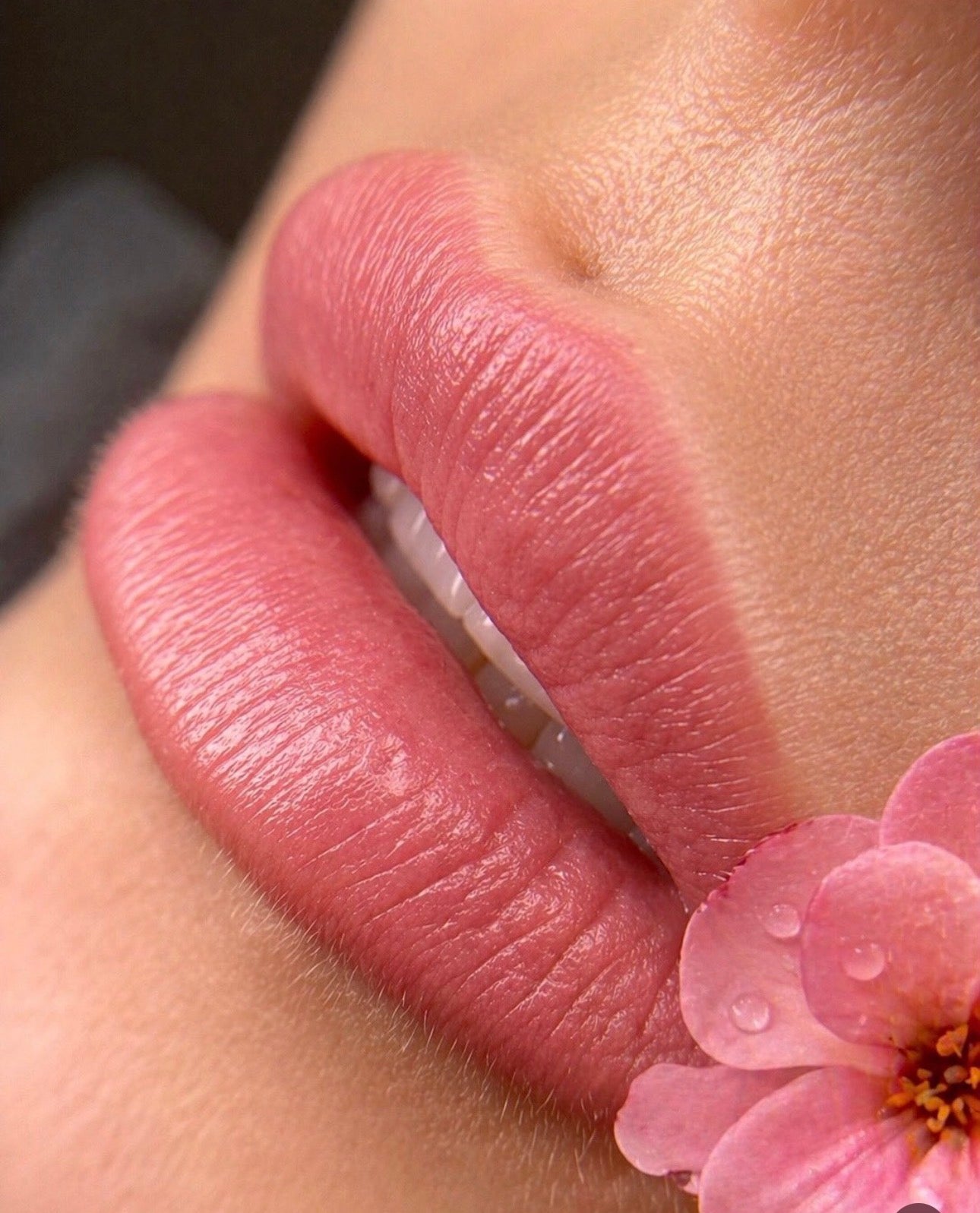 lip blush tattoo Savich pigmeny Dusty Pink