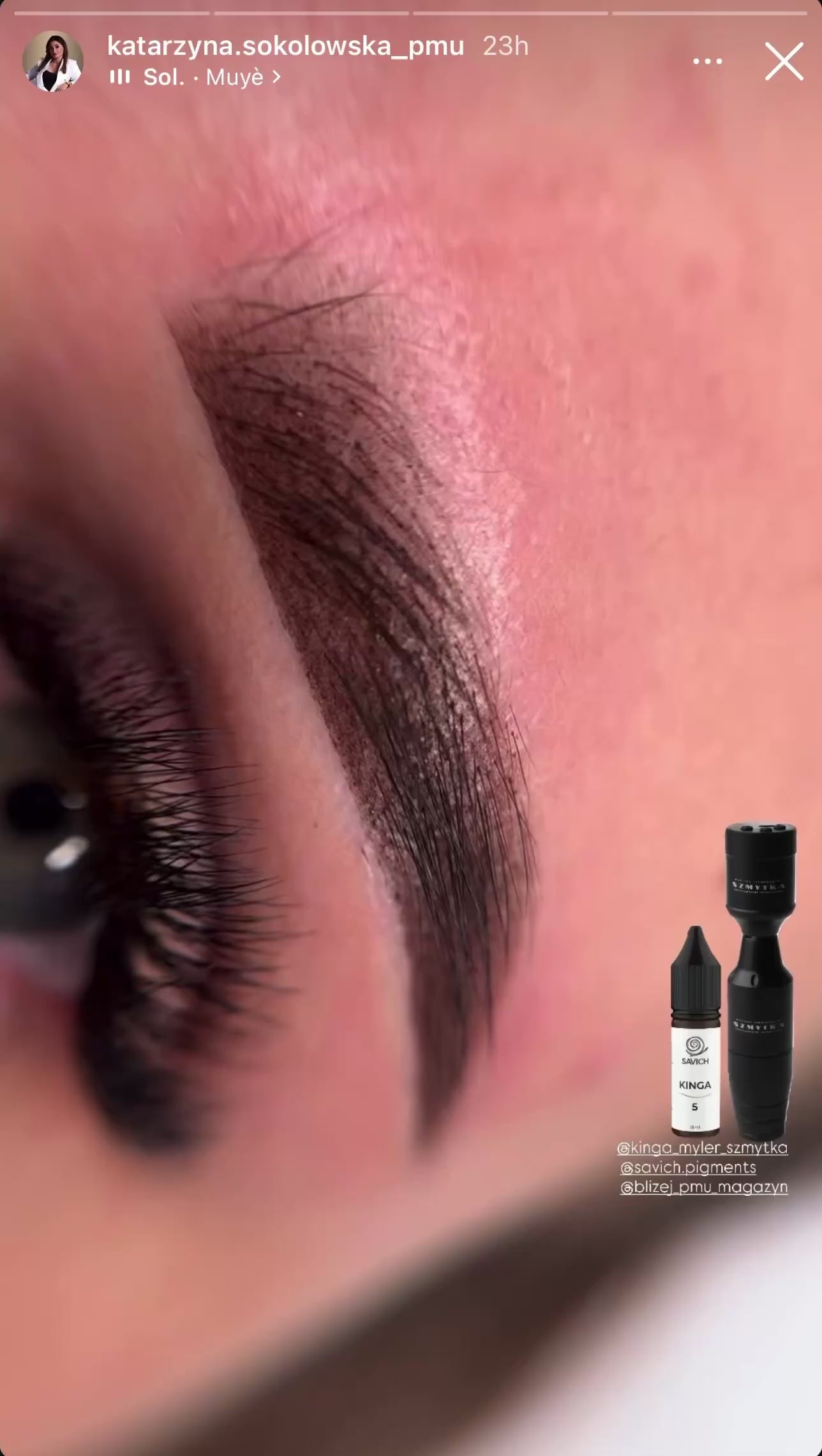 Savich pigment for permanent makeup eyebrows tattoo KINGA 5